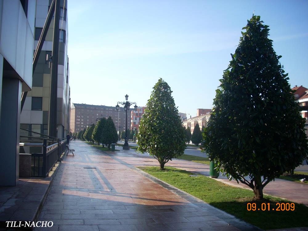 Foto de Oviedo (Asturias), España