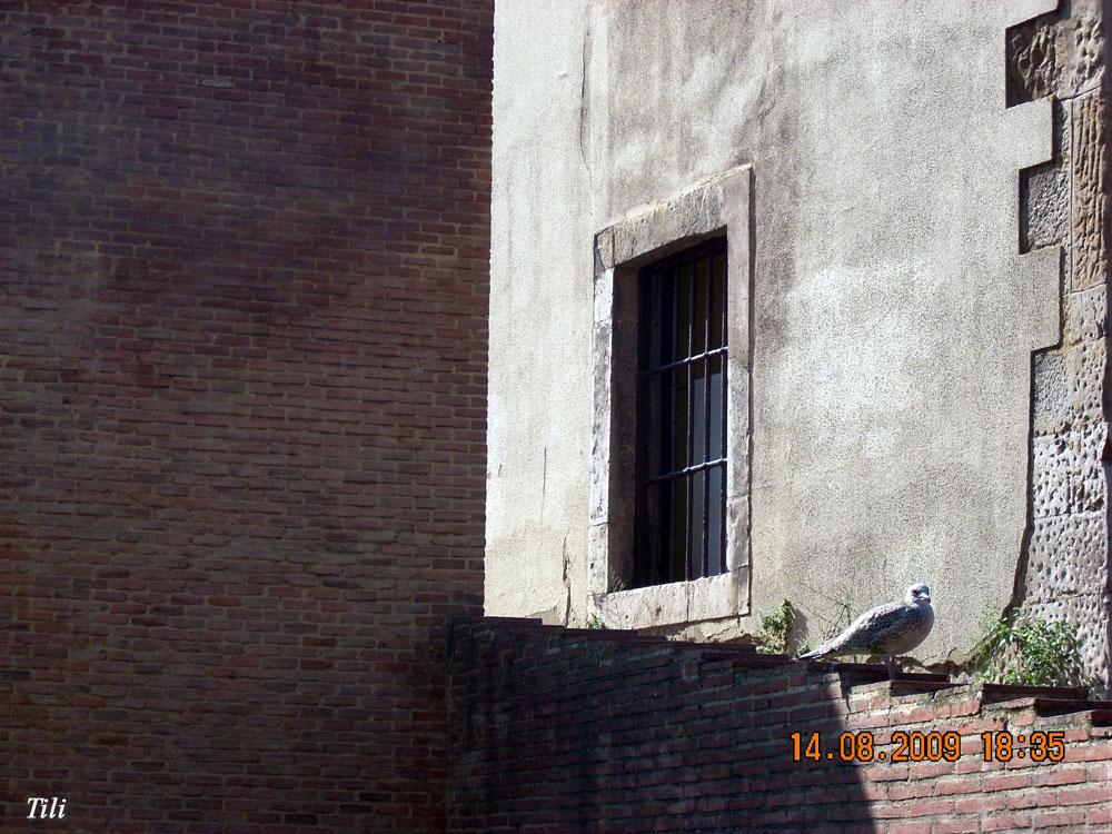 Foto de Gijón (Asturias), España