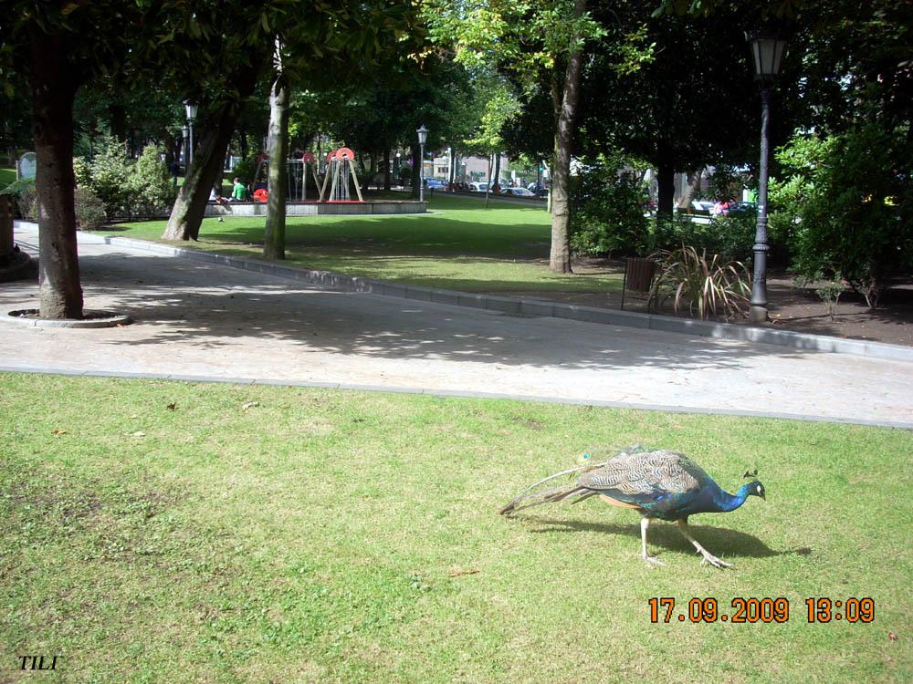 Foto de Oviedo (Asturias), España