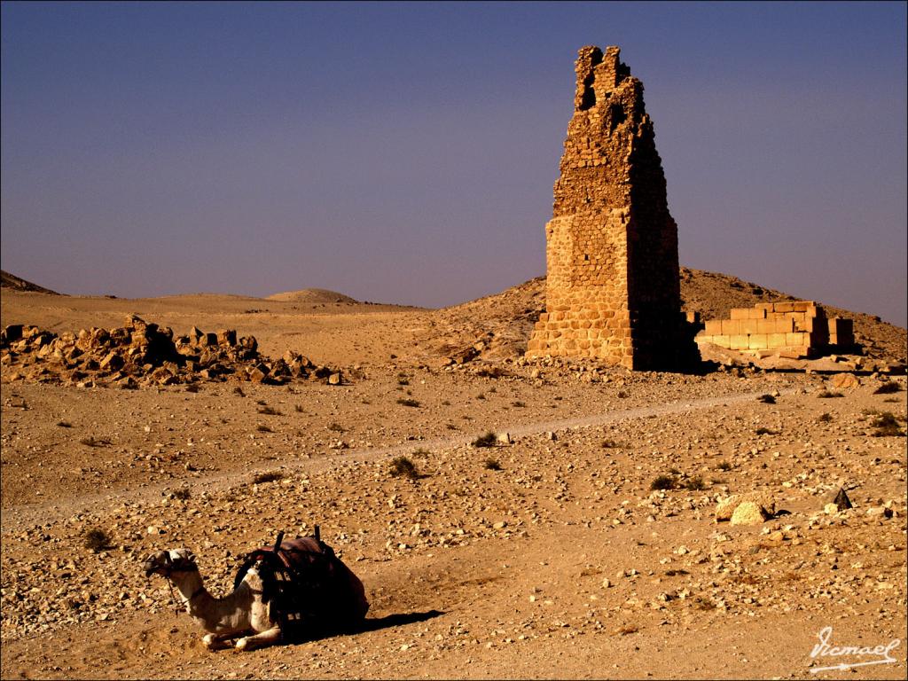 Foto de Palmira, La República Árabe Siria