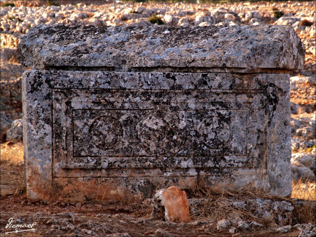 Foto de Sergella, La República Árabe Siria