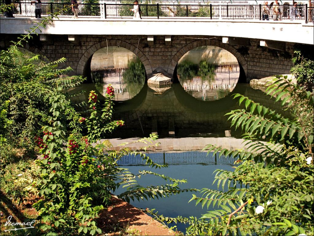 Foto de Hama, La República Árabe Siria