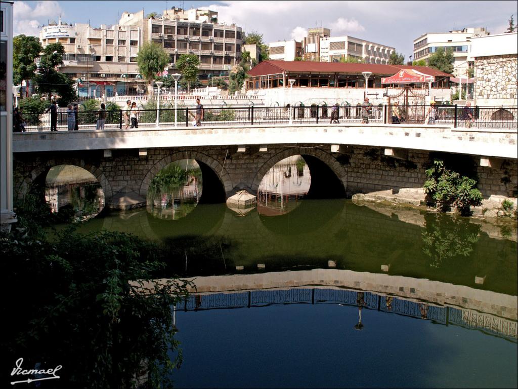 Foto de Hama, La República Árabe Siria