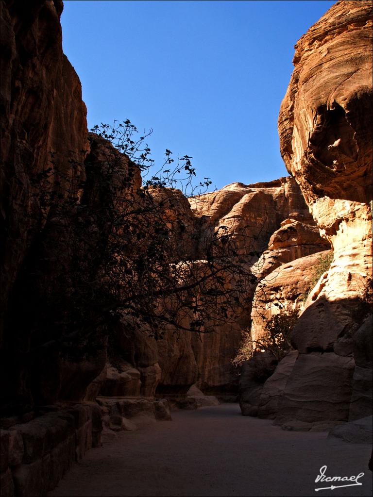Foto de Petra, Jordania