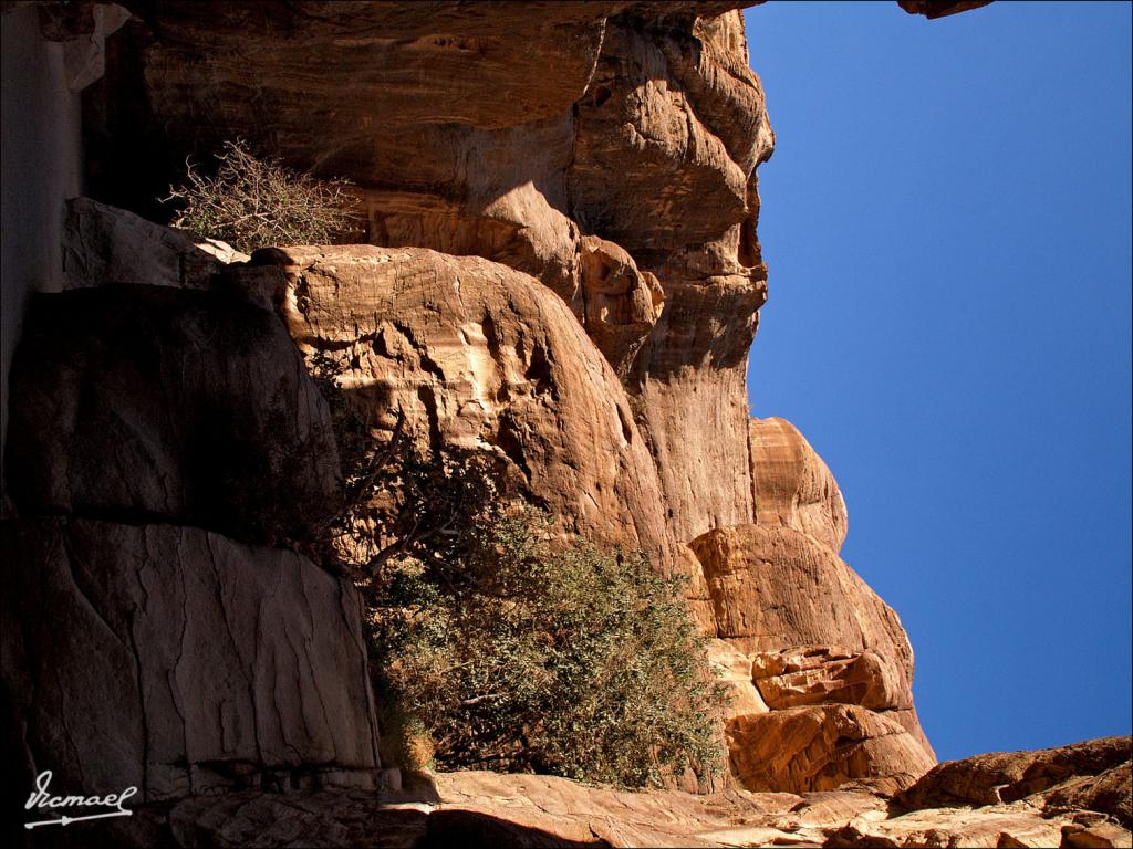 Foto de Petra, Jordania
