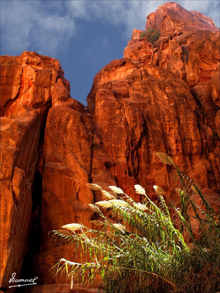Foto de Petra, Jordania
