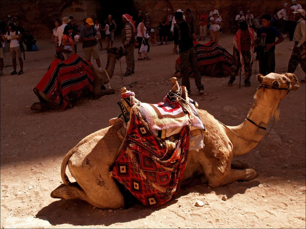 Foto de Petra, Jordania