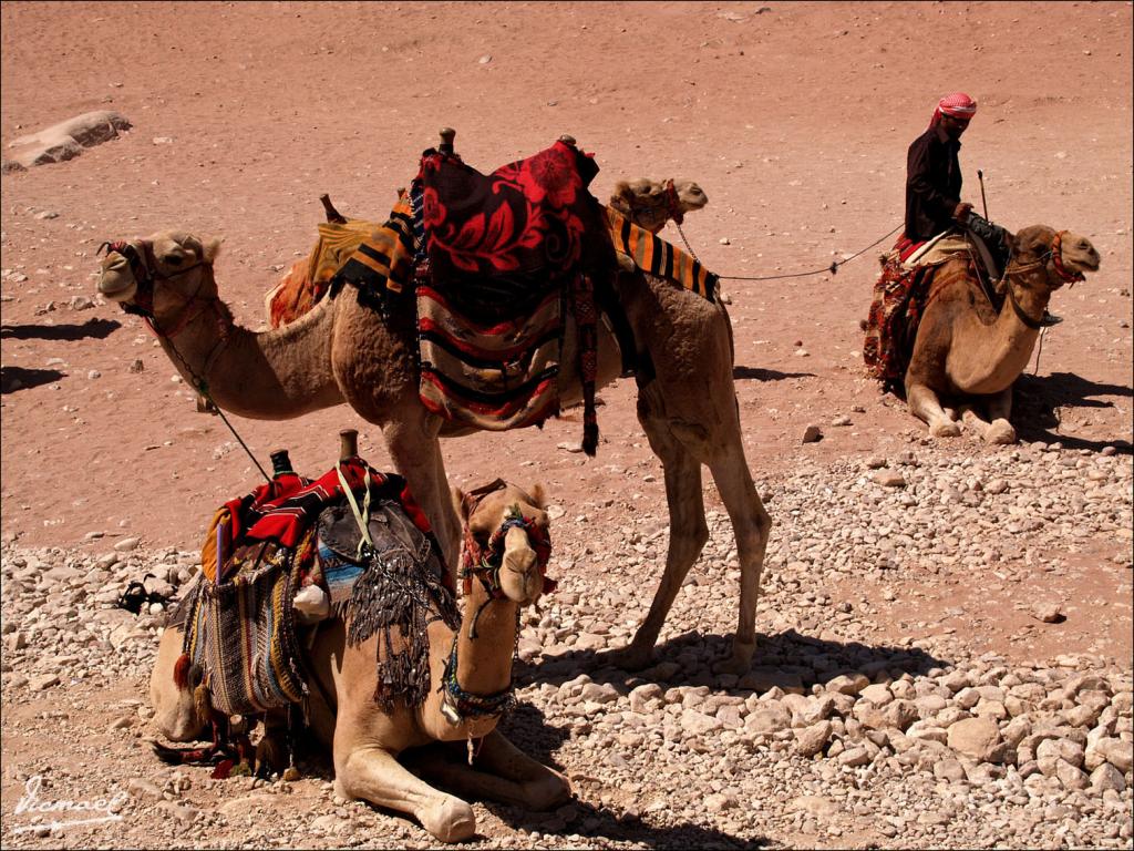 Foto de Petra, Jordania