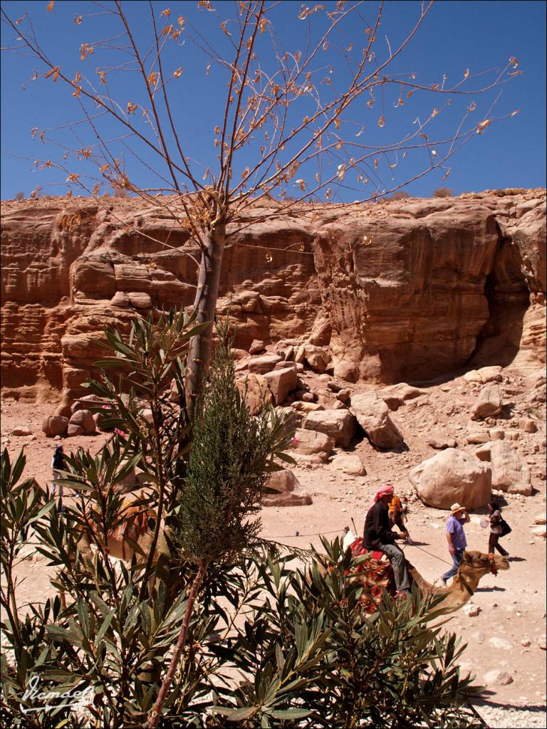 Foto de Petra, Jordania