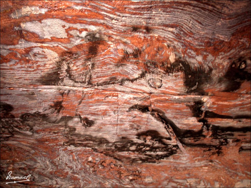 Foto de Petra, Jordania