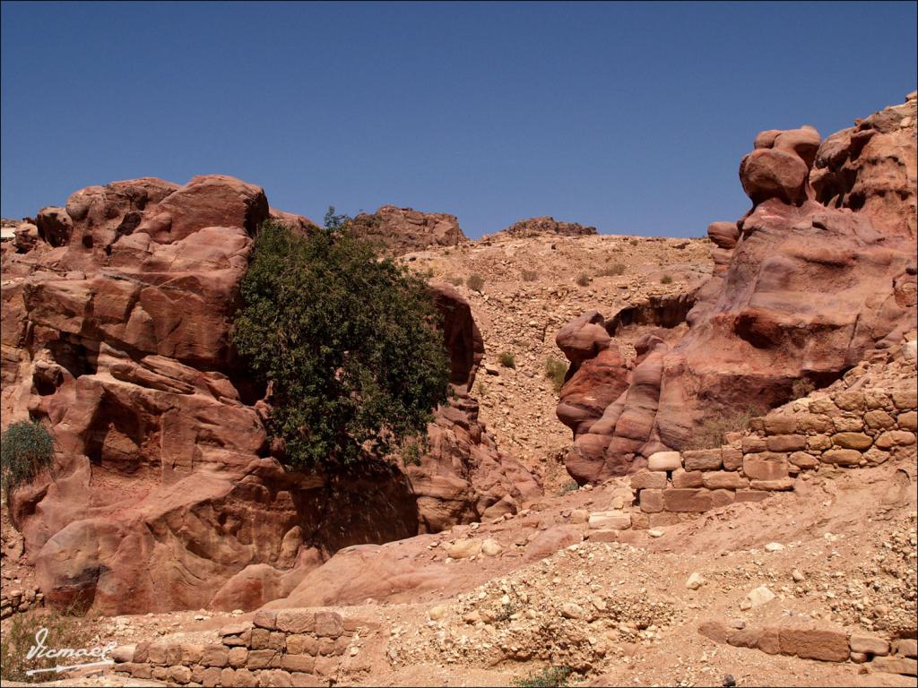 Foto de Petra, Jordania