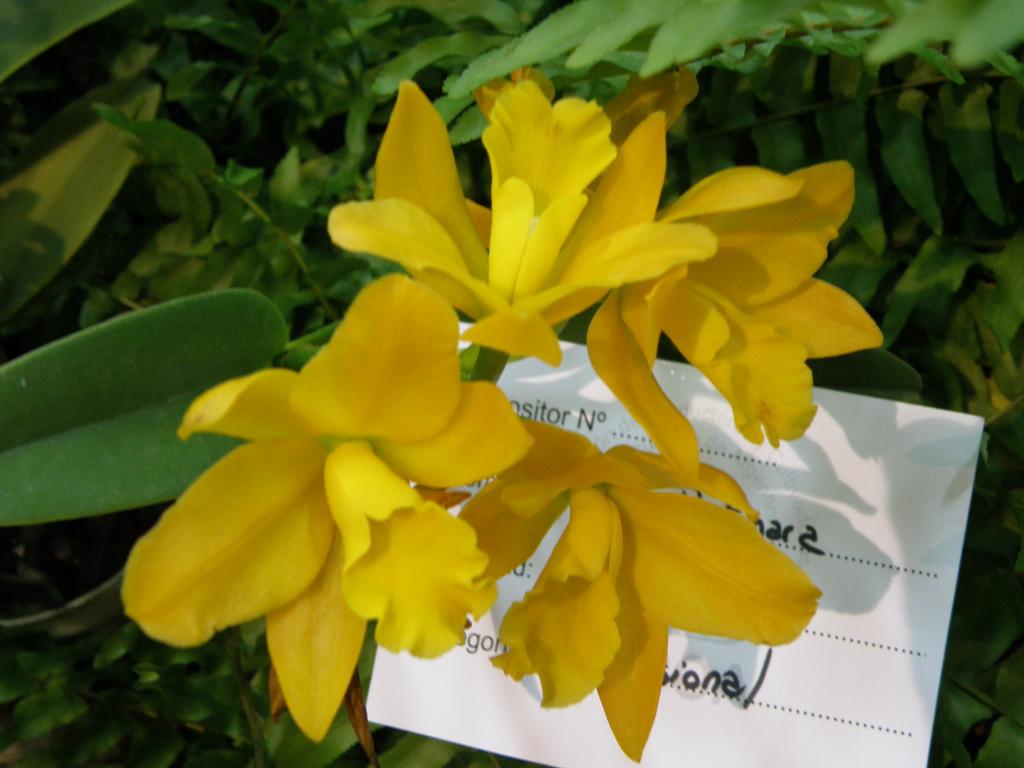 Foto de Buenos Aires, Argentina