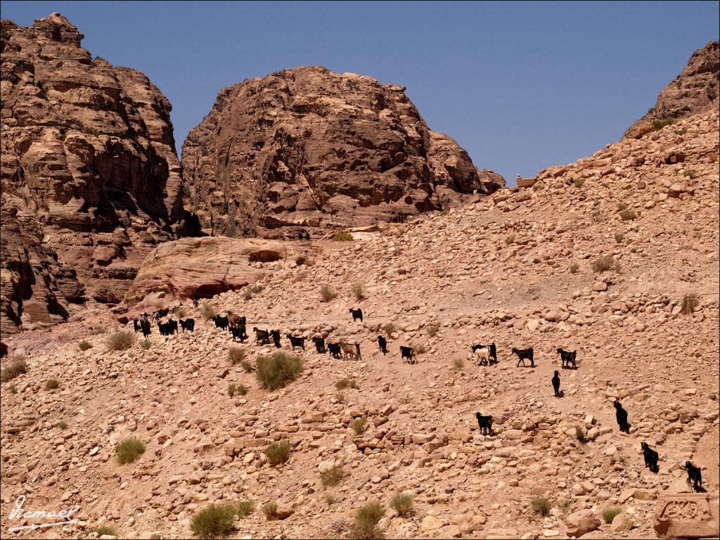 Foto de Petra, Jordania