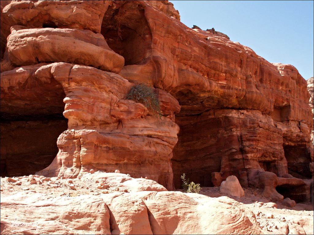 Foto de Petra, Jordania