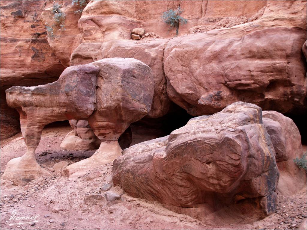 Foto de Petra, Jordania