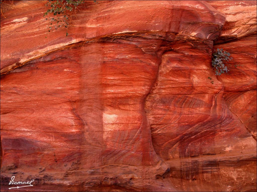 Foto de Petra, Jordania