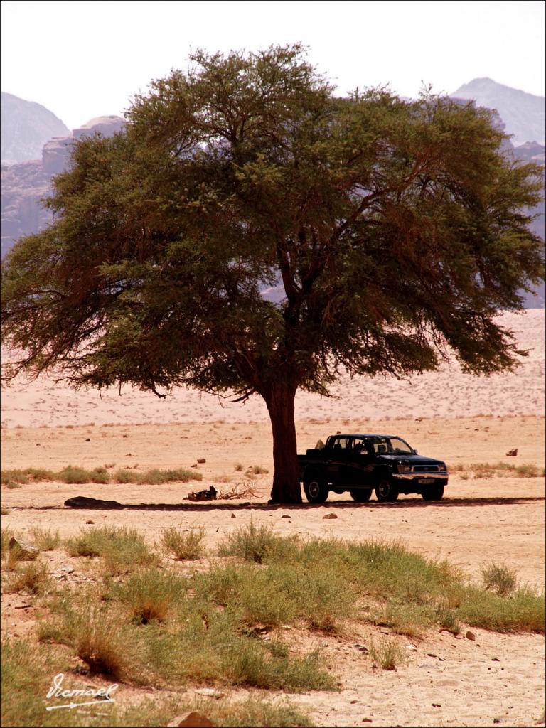 Foto de Wadi Rum, Jordania