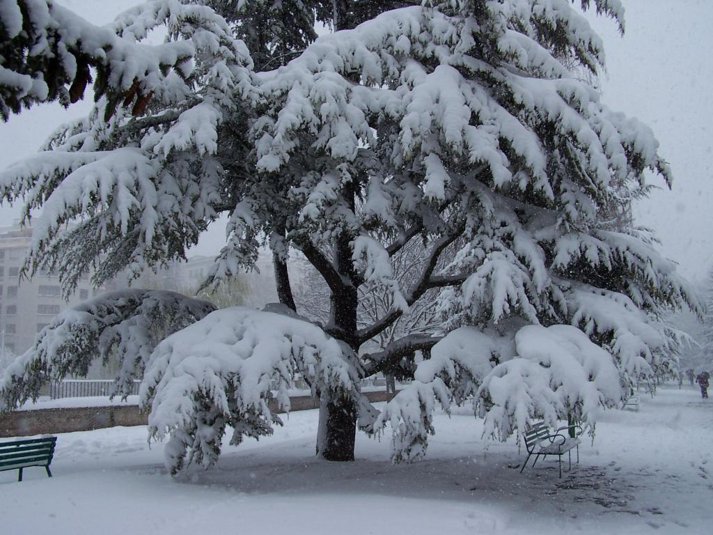 Foto de Burgos (Castilla y León), España
