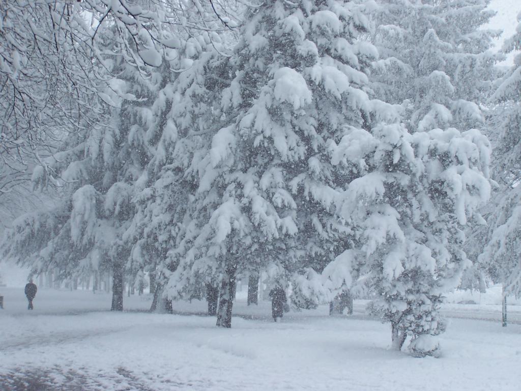 Foto de Burgos (Castilla y León), España