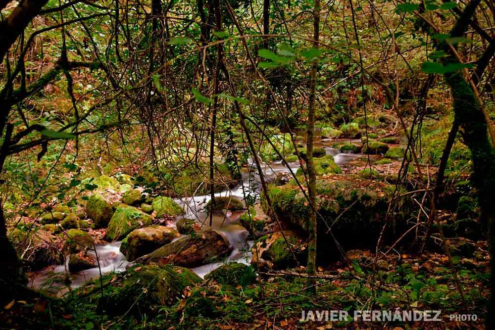 Foto de Sobrescobio (Asturias), España