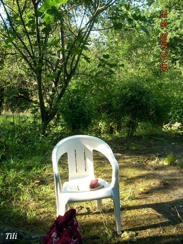 Foto de Figarines (Oviedo) (Asturias), España