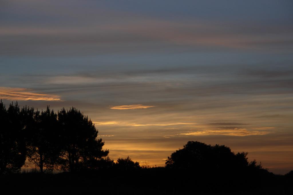 Foto de Mar de las Pampas, Argentina