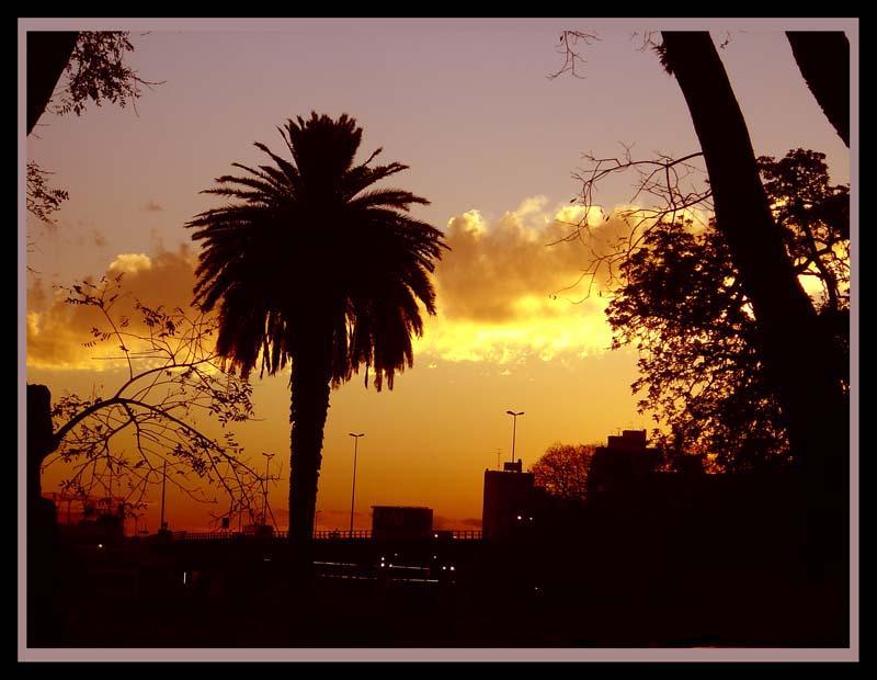 Foto de Caba (Caballito), Argentina