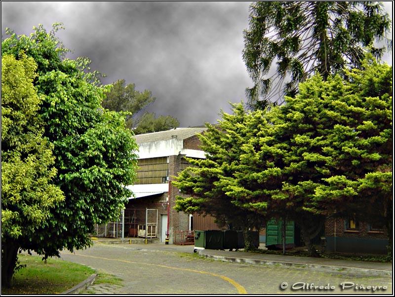 Foto de Buenos Aires (San Martín), Argentina