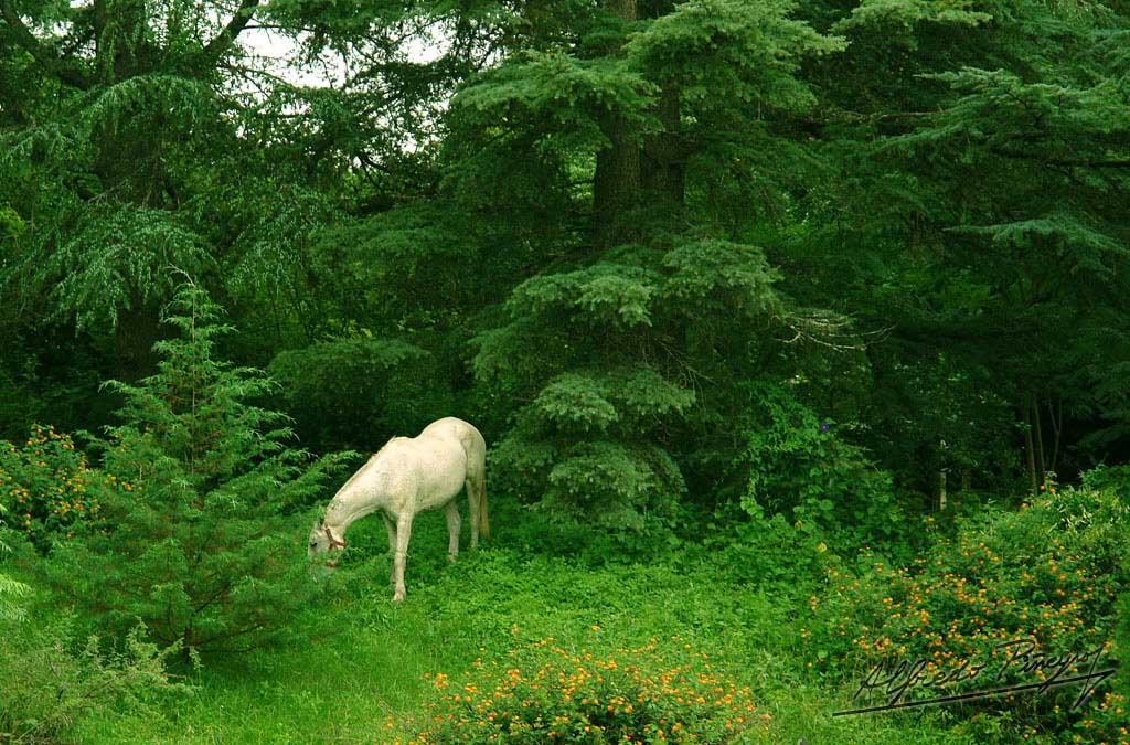 Foto de Cordoba, Argentina