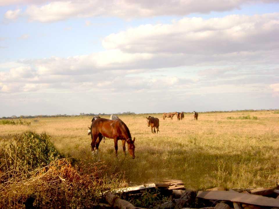 Foto de Tartagal (Salta), Argentina