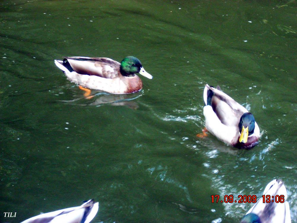 Foto de Oviedo (Asturias), España