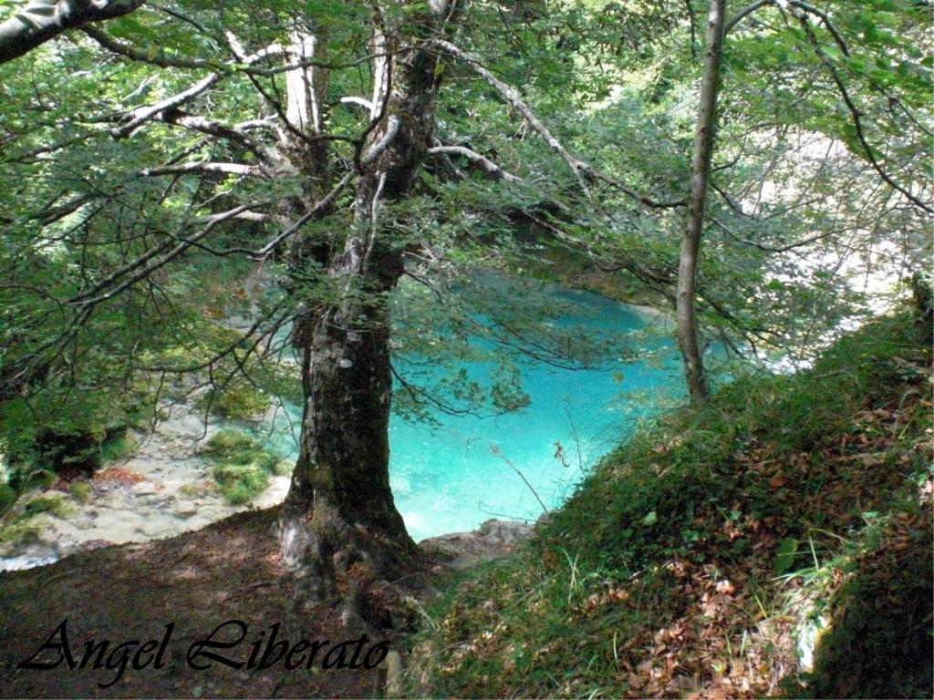 Foto de Baquedano (Navarra), España