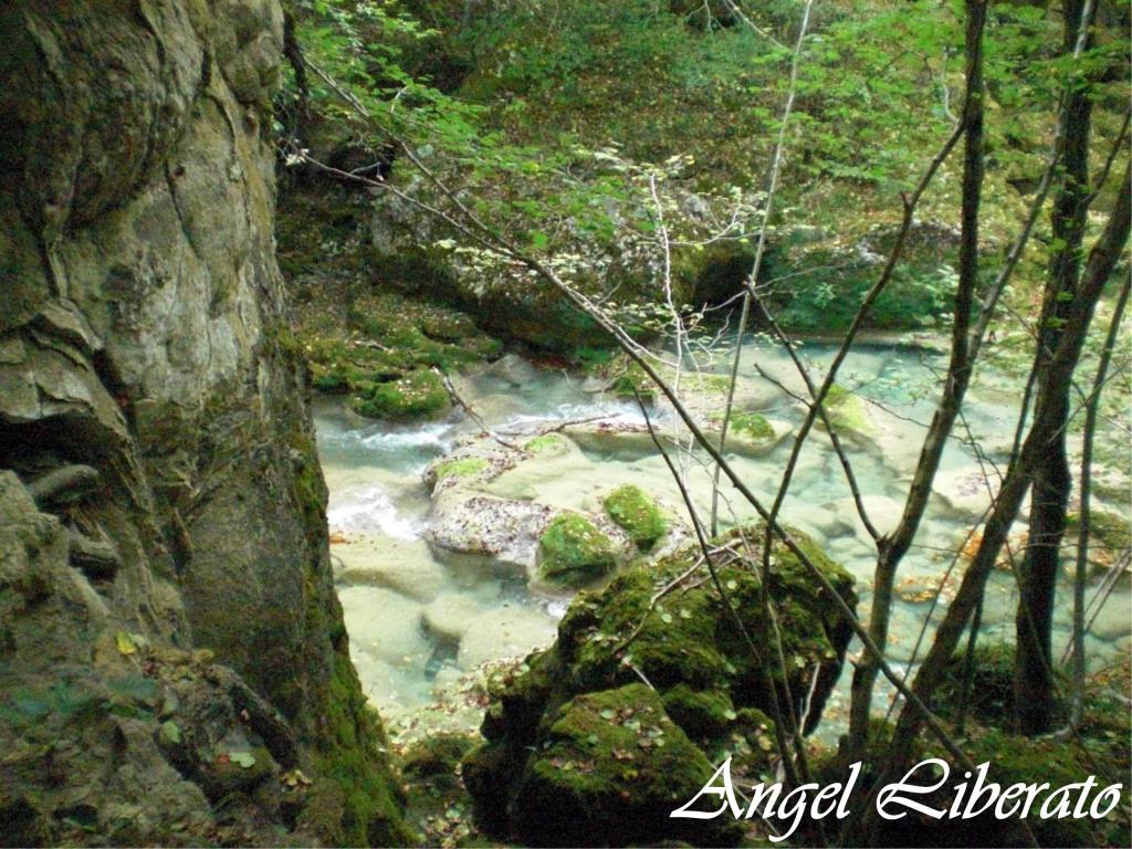 Foto de Baquedano (Navarra), España