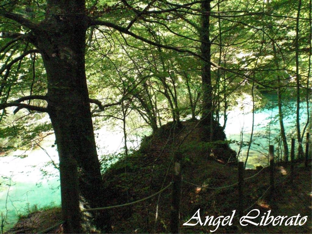 Foto de Baquedano (Navarra), España