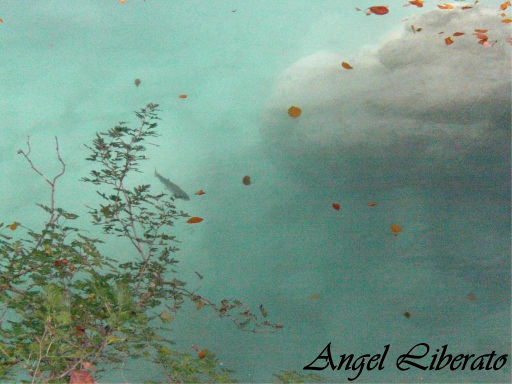 Foto de Baquedano (Navarra), España