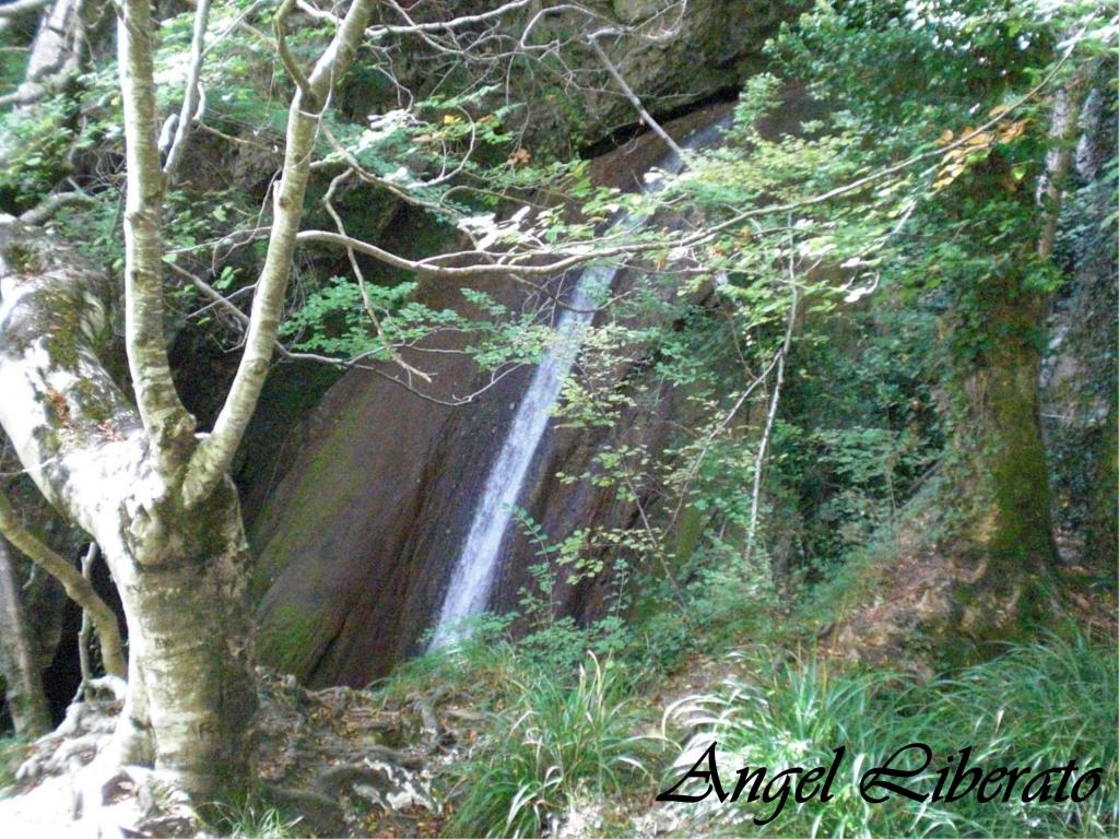 Foto de Baquedano (Navarra), España