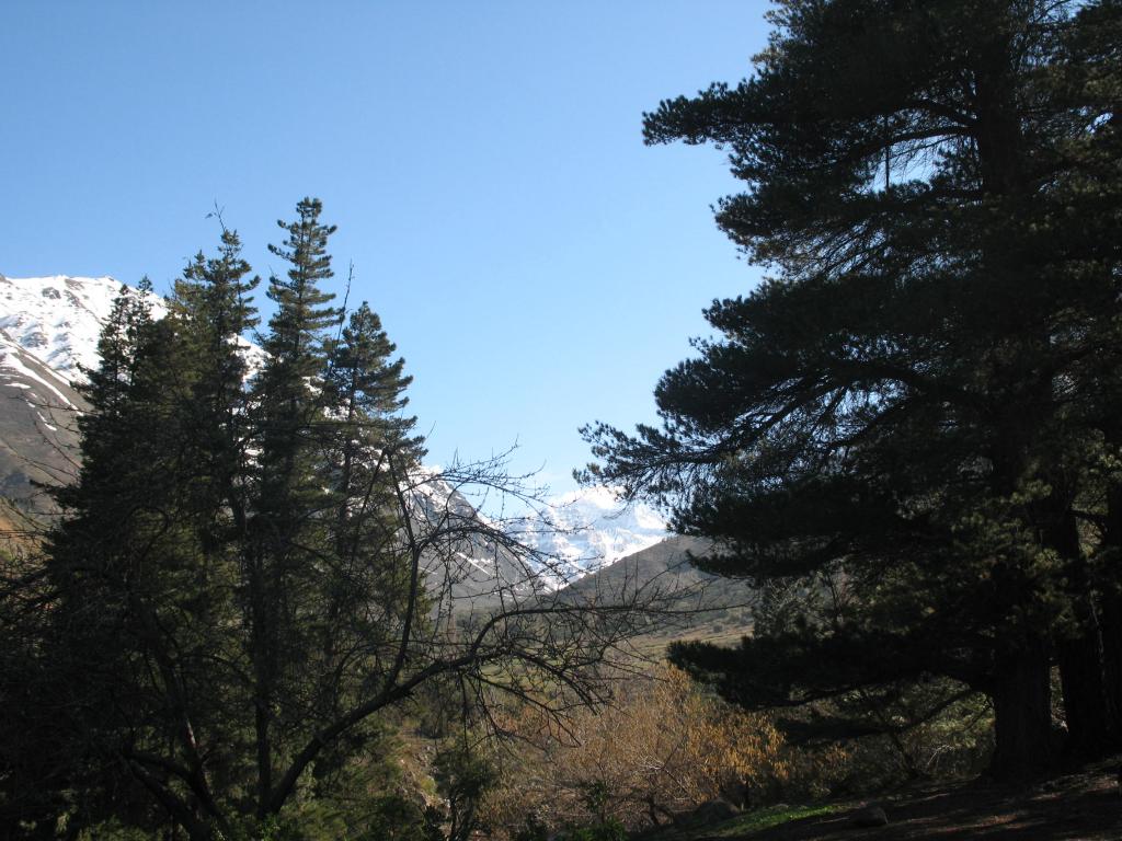 Foto de Andes Centrales, Chile