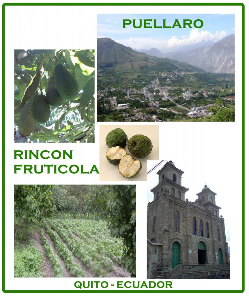 Foto de Puellaro, Ecuador