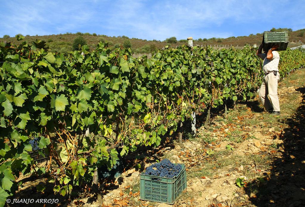 Foto de Cangas del Narcea (Asturias), España