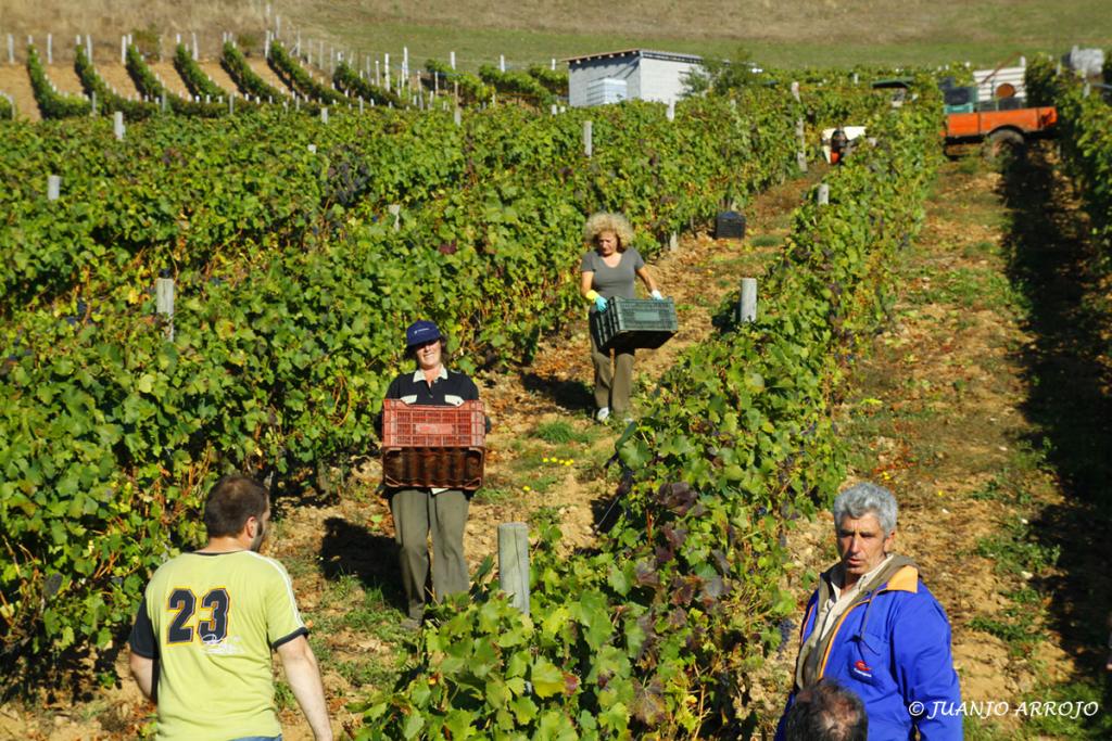 Foto de Cangas del Narcea (Asturias), España
