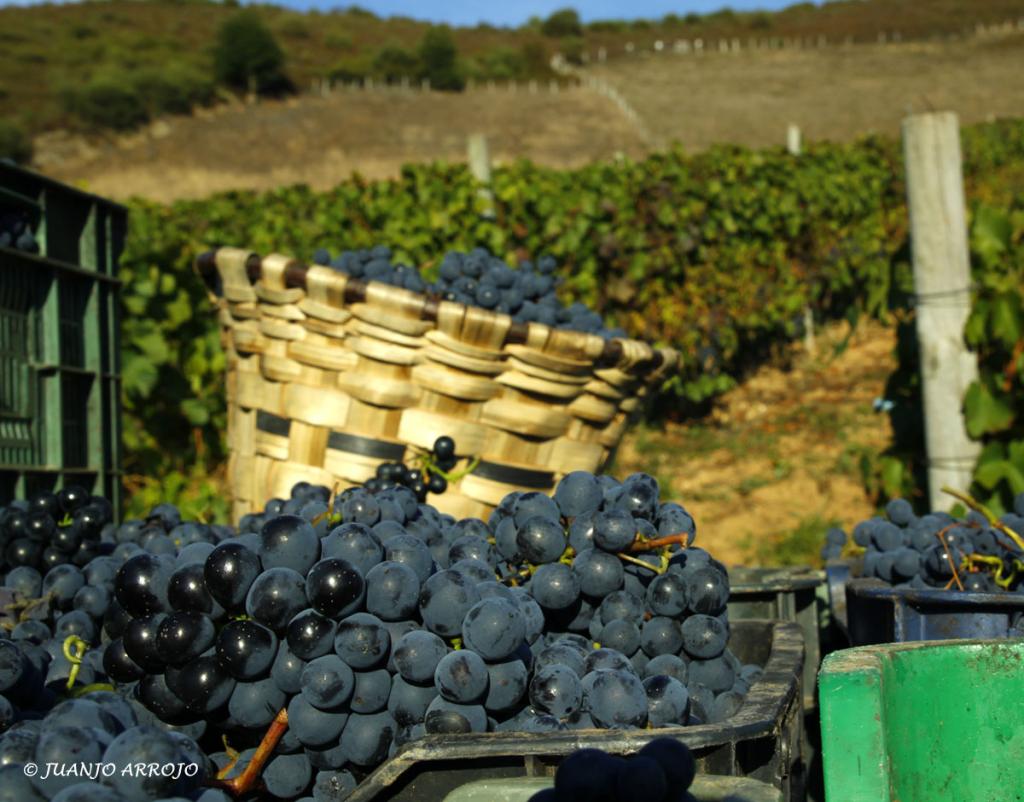 Foto de Cangas del Narcea (Asturias), España