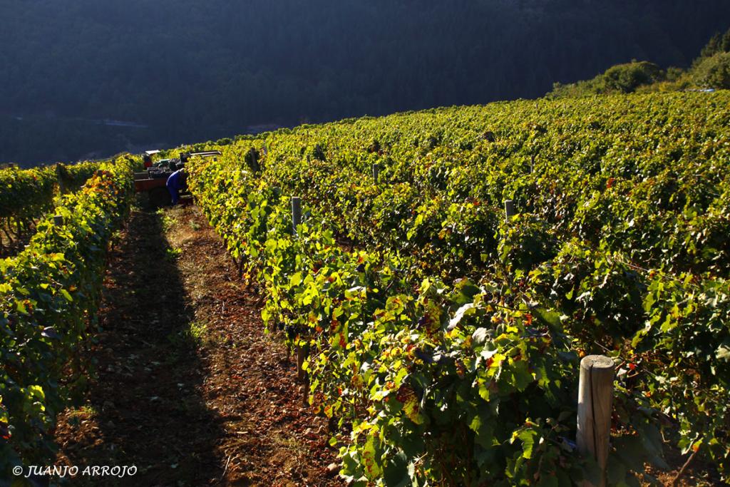 Foto de Cangas del Narcea (Asturias), España