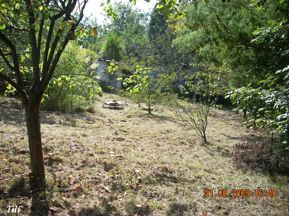 Foto de Figarines (Oviedo) (Asturias), España
