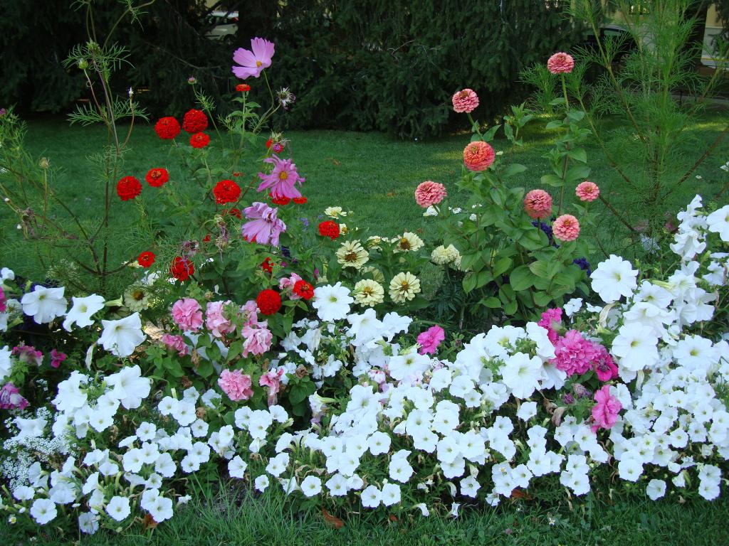 Foto de San Ildefonso (Segovia), España