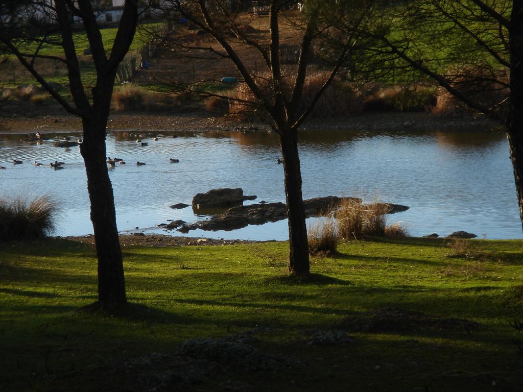 Foto de Berlanga (Badajoz), España