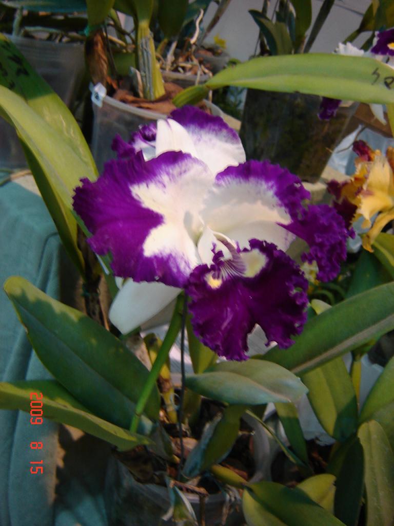 Foto de Buenos Aires, Argentina