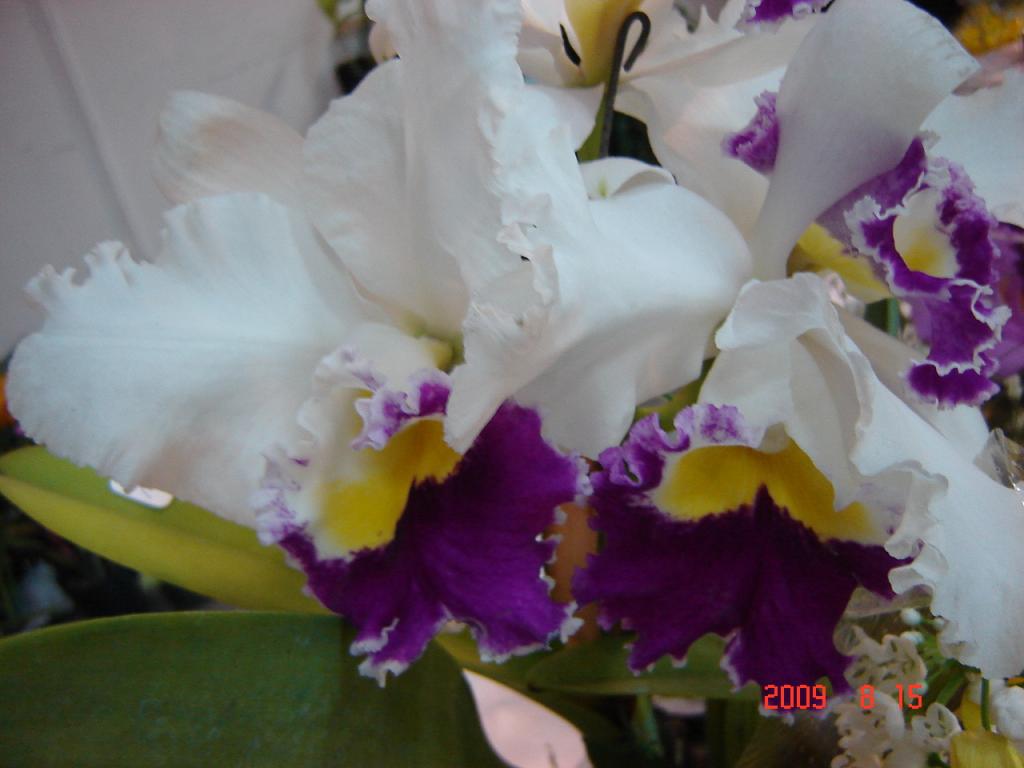 Foto de Buenos Aires, Argentina