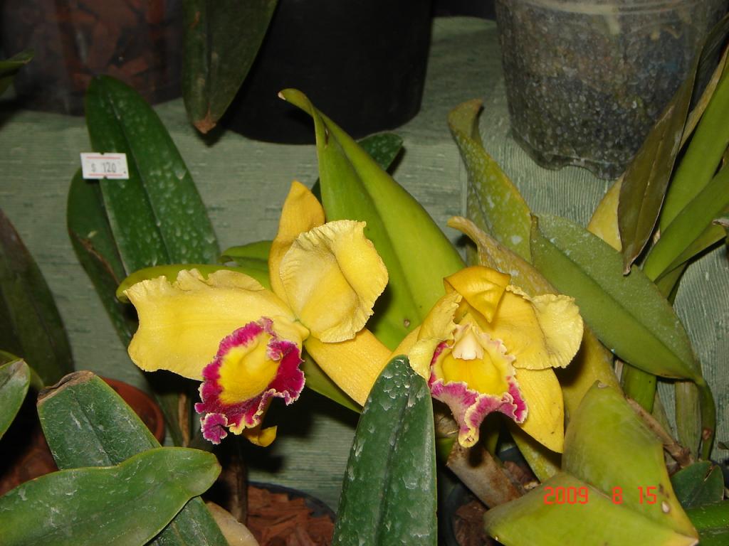 Foto de Buenos Aires, Argentina