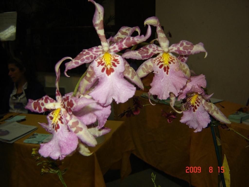 Foto de Buenos Aires, Argentina