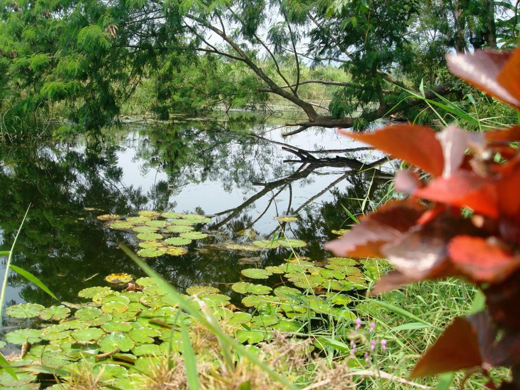 Foto de Chanchamayo, Perú
